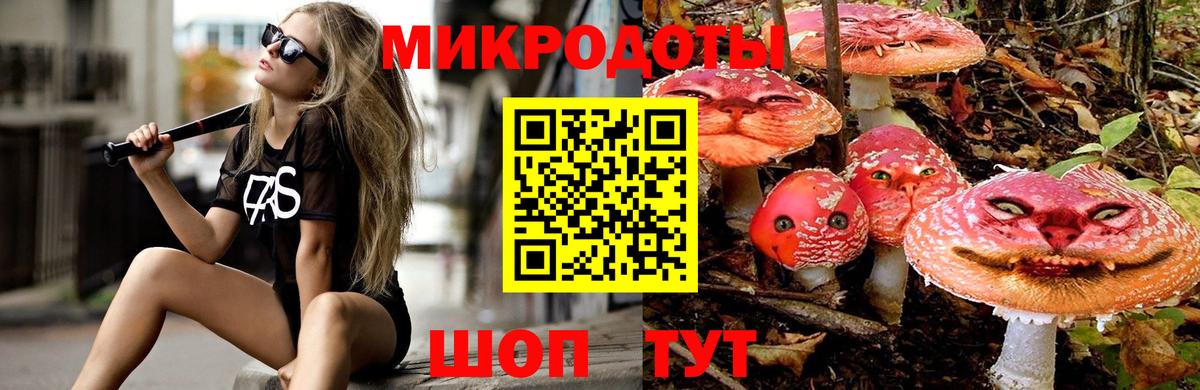 Димитровград  Галлюциногенные грибы Cubensis  Вход с VPN 
