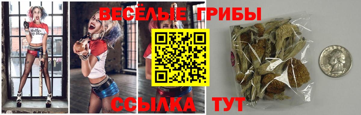 Псилоцибиновые грибы ЛСД Димитровград